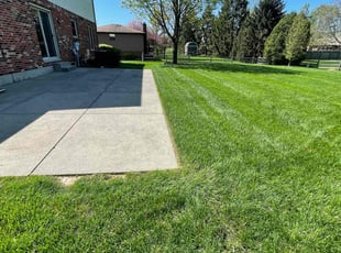 Annabelle R.'s Grass Cutting service result