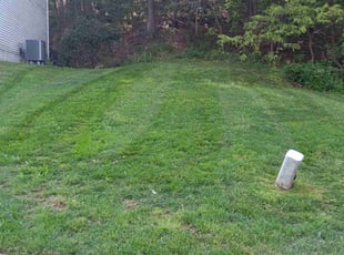 Brandon B.'s Grass Cutting service result