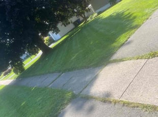 Cara G.'s Lawn Service service result