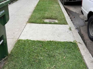 Warren T.'s Lawn Care service result