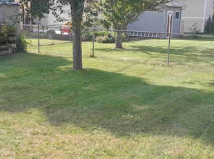 Joyce R.'s Yard Cutting service result