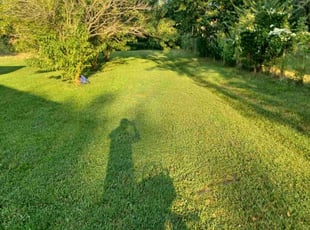 Sabrina A.'s Grass Cutting service result