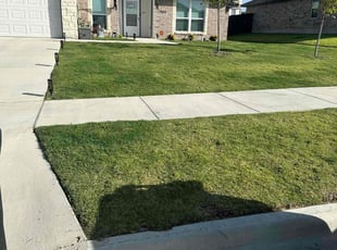 Julio M.'s Lawn Care service result