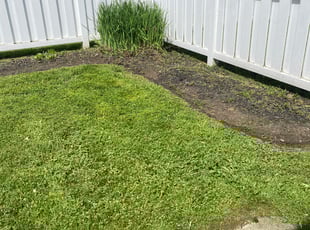 Weeding by James Serio for Halimah O. in Rochester, NY