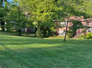 Ruth S.'s Lawn Mowing service result