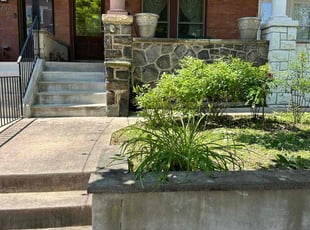 Bush Trimming by Ziyah Armwood for sefi a. in Baltimore, MD