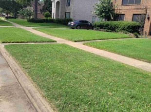 Donald S.'s Lawn Mowing service result