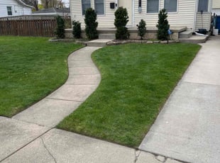 Fred M.'s Lawn Mowing service result