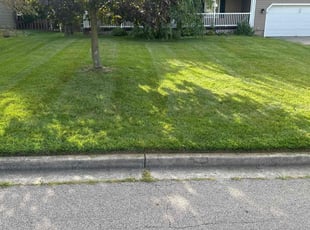 Dwayne M.'s Lawn Mowing service result