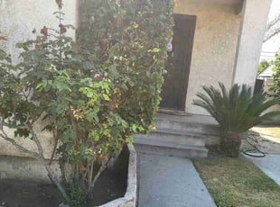 Bush Trimming by Ricardo Garcia for Michael N. in Whittier, CA