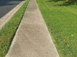 Crystal B.'s Lawn Mowing service result