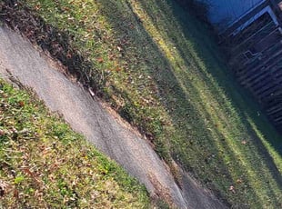Leaf Removal by Tarah0 Reuther for Karen A. in Columbus, OH