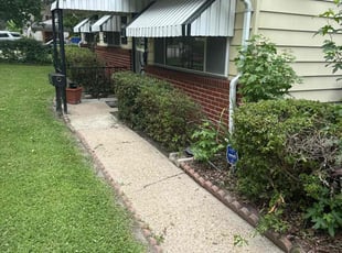 Bush Trimming by Steven Moreira for Patrick H. in Virginia Beach, VA