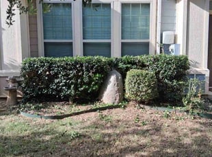 Bush Trimming by Rhett Lambas for Mathieu L. in Denton, TX