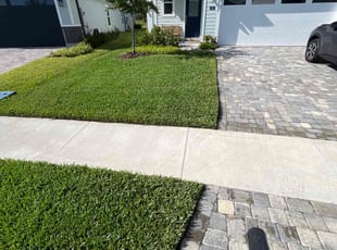 Mark D.'s Lawn Mowing service result
