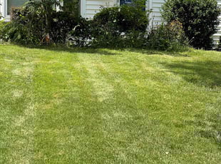 Heidi L.'s Lawn Care service result