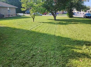 Lawrence D.'s Lawn Care service result