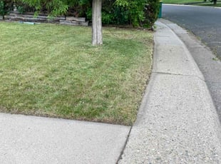 Blake B.'s Lawn Mowing service result
