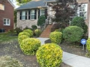 Bush Trimming by Bryon Dove for Maggie W. in Huntersville, NC