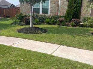 Zane S.'s Lawn Mowing service result