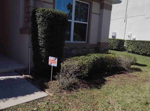 Bush Trimming by Robby Freedman for Adrianna V. in Winter Springs, FL