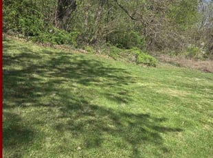 Calvin P.'s Lawn Mowing Service service result