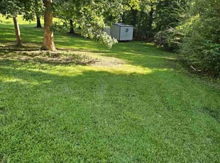 Elizabeth L.'s Lawn Care service result