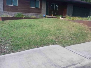 Adriana -.'s Lawn Maintenance service result