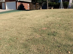 Mulching by Benjamin Everett for Dennis M. in Midwest City, OK