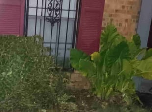 Sherelle A.'s Bush Trimming service result