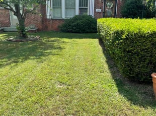 RAGSDALE, J.'s Lawn Service service result