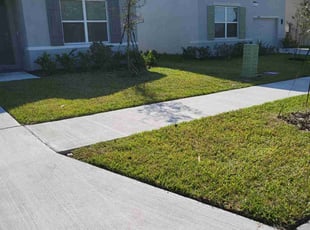 Daniel V.'s Lawn Mowing service result