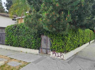 Bush Trimming by Jose Martinez for Bo H. in Los Angeles, CA
