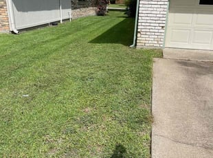Pedro S.'s Grass Cutting service result