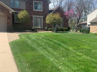 Jamol S.'s Lawn Care service result