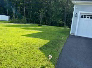 Natalie E.'s Lawn Mowing service result