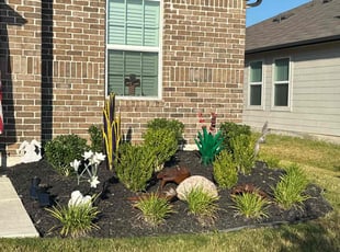 Bush Trimming by Rene Hernandez for Barbara K. in Lockhart, TX