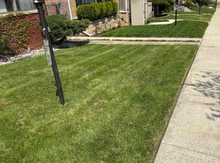 Adam W.'s Grass Cutting service result