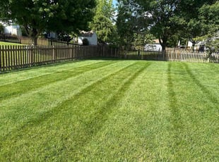 Patricia C.'s Lawn Maintenance service result