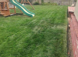 David C.'s Yard Cutting service result