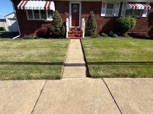 Angel M.'s Lawn Maintenance service result