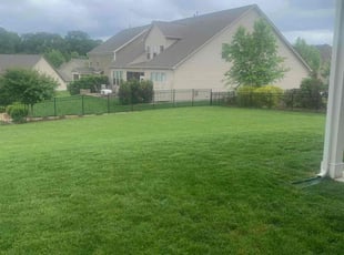 Nanette S.'s Lawn Care service result