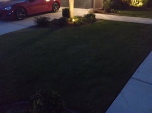 Bush Trimming by Erik Lopez for CARRIE W. in Bakersfield, CA
