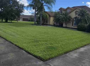Paul I.'s Lawn Service service result