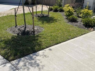 Shawn W.'s Grass Cutting service result