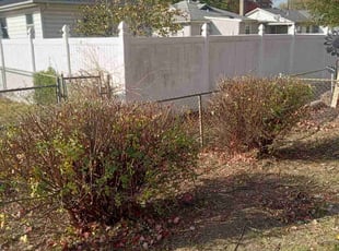 Bush Trimming by Lance Reynolds for Rey B. in North Kansas City, MO