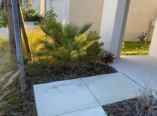 Bush Trimming by Corey Johnson for Jay M. in Apollo Beach, FL