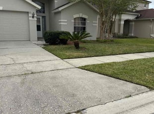 Richard V.'s Lawn Care service result