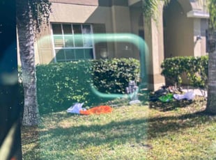 Bush Trimming by Efrain Marrero for Amanda E. in Wesley Chapel, FL