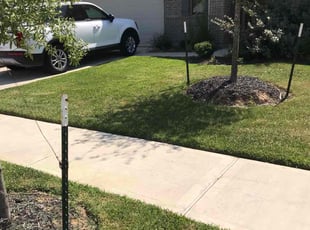 Kieran B.'s Lawn Mowing Service service result